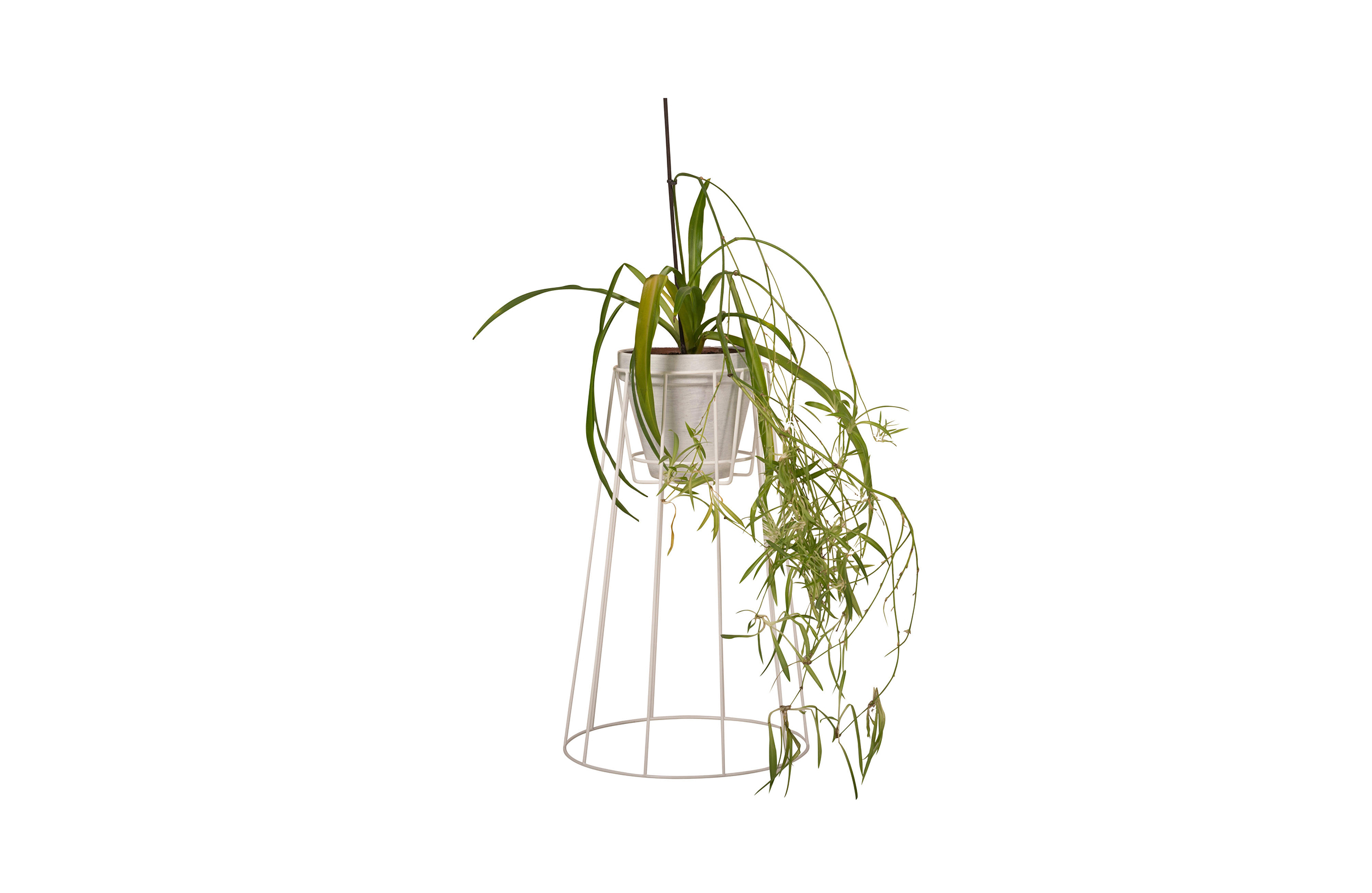 创意家具 - 附件|花器|办公家具|球友会手机网页版登录入口家具|西布莉植物架