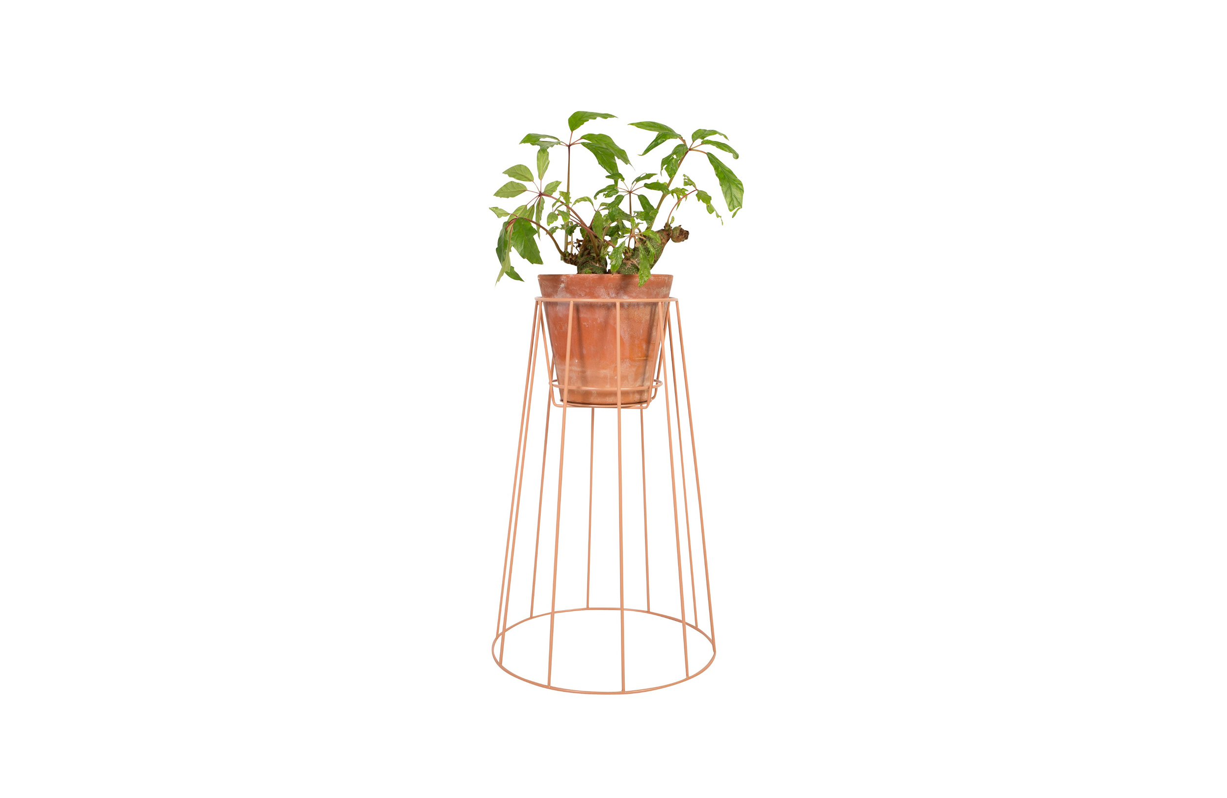 创意家具 - 附件|花器|办公家具|球友会手机网页版登录入口家具|西布莉植物架