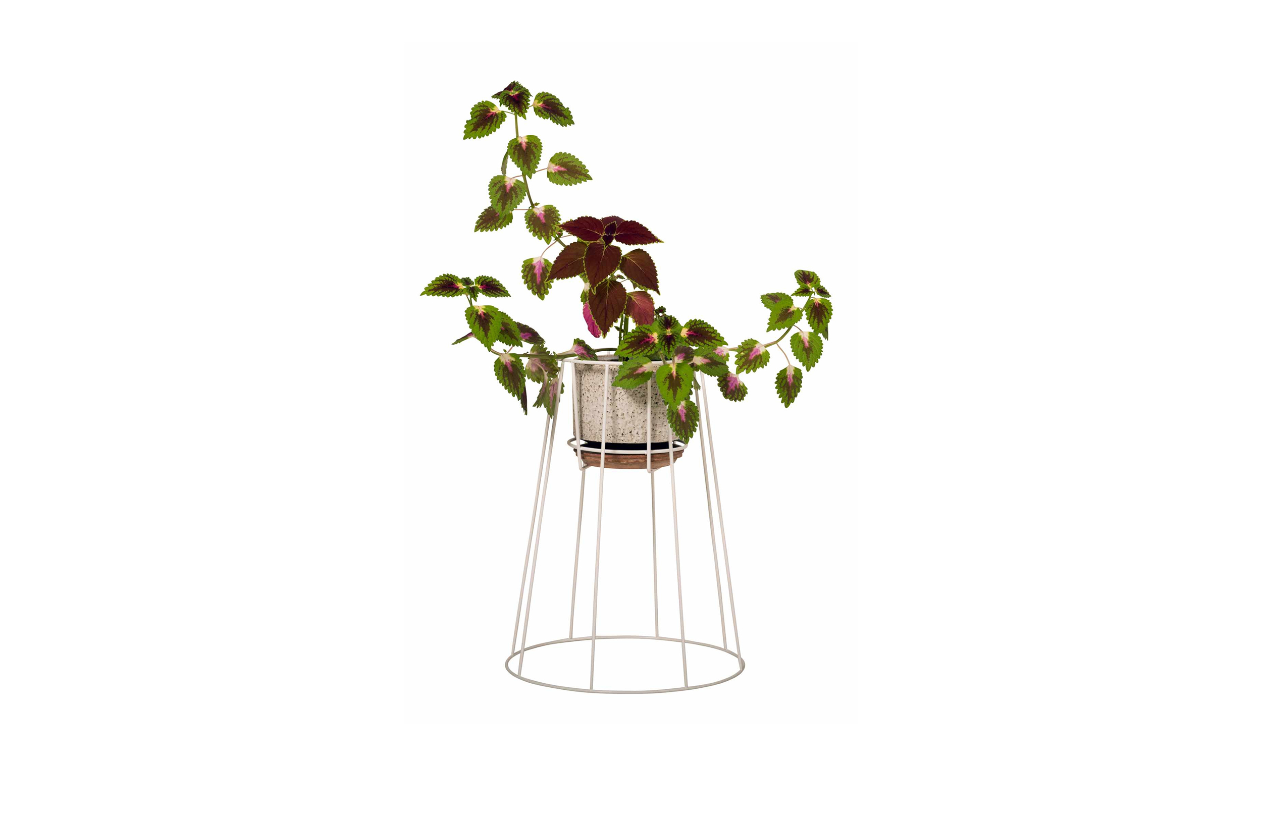 创意家具 - 附件|花器|办公家具|球友会手机网页版登录入口家具|西布莉植物架