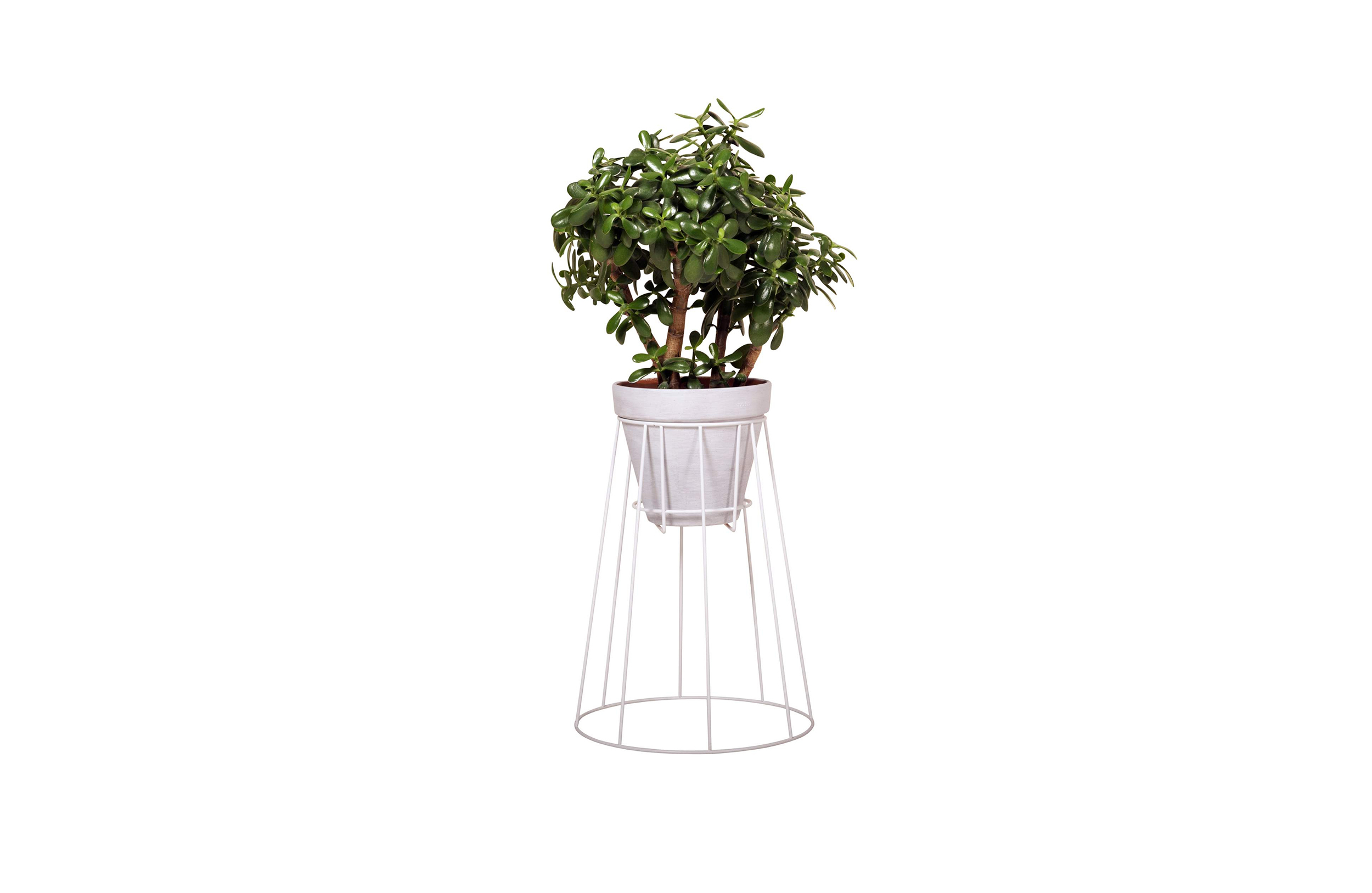 创意家具 - 附件|花器|办公家具|球友会手机网页版登录入口家具|西布莉植物架