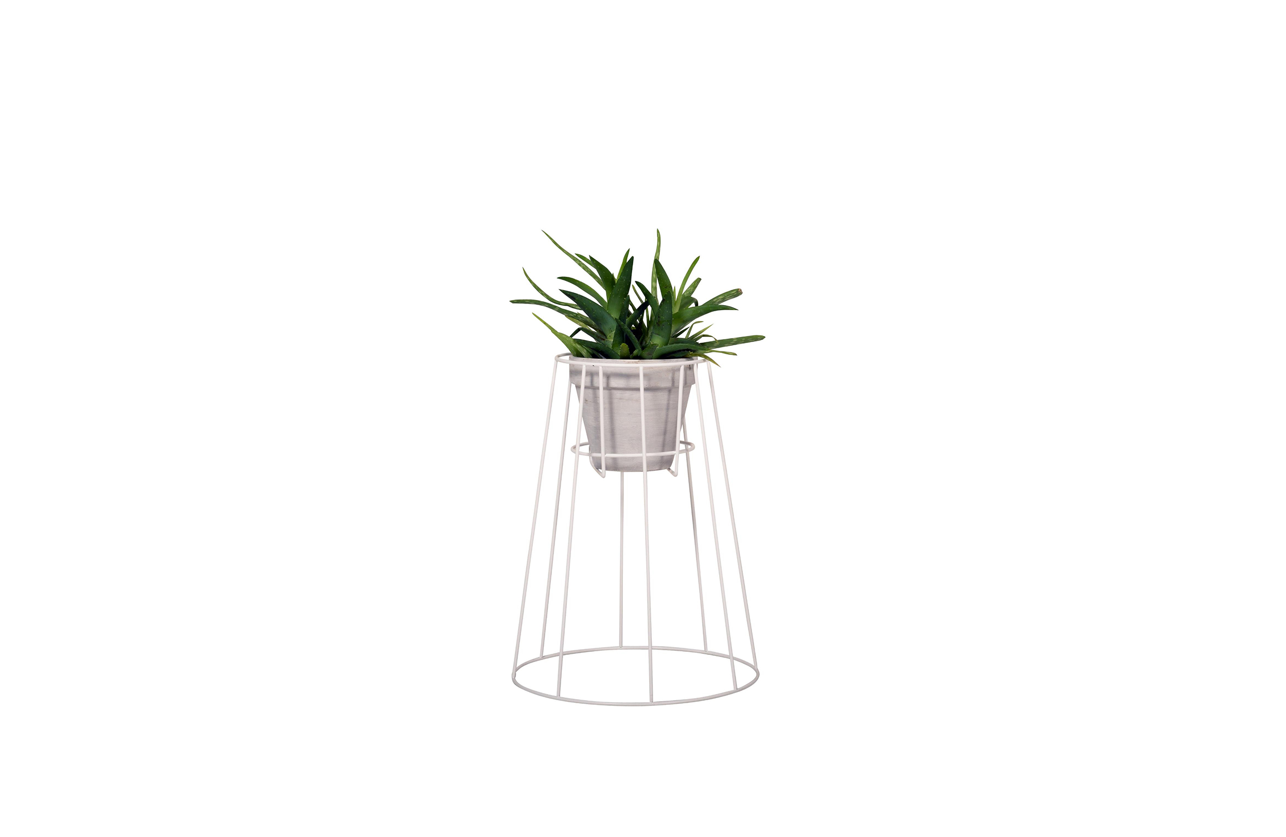 创意家具 - 附件|花器|办公家具|球友会手机网页版登录入口家具|西布莉植物架