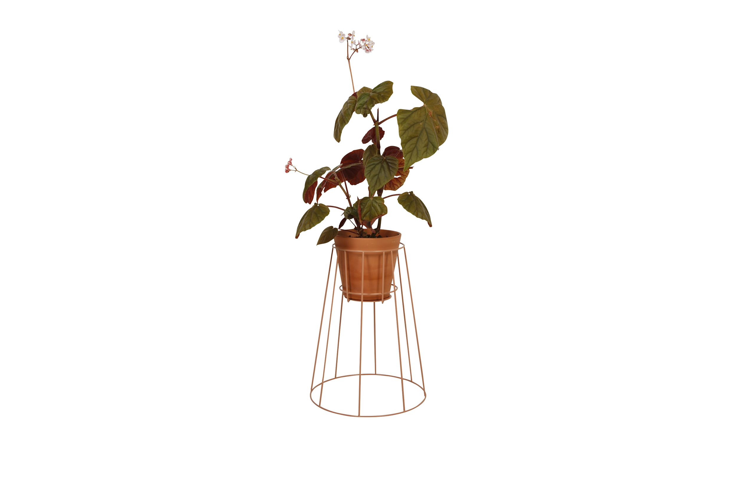 创意家具 - 附件|花器|办公家具|球友会手机网页版登录入口家具|西布莉植物架