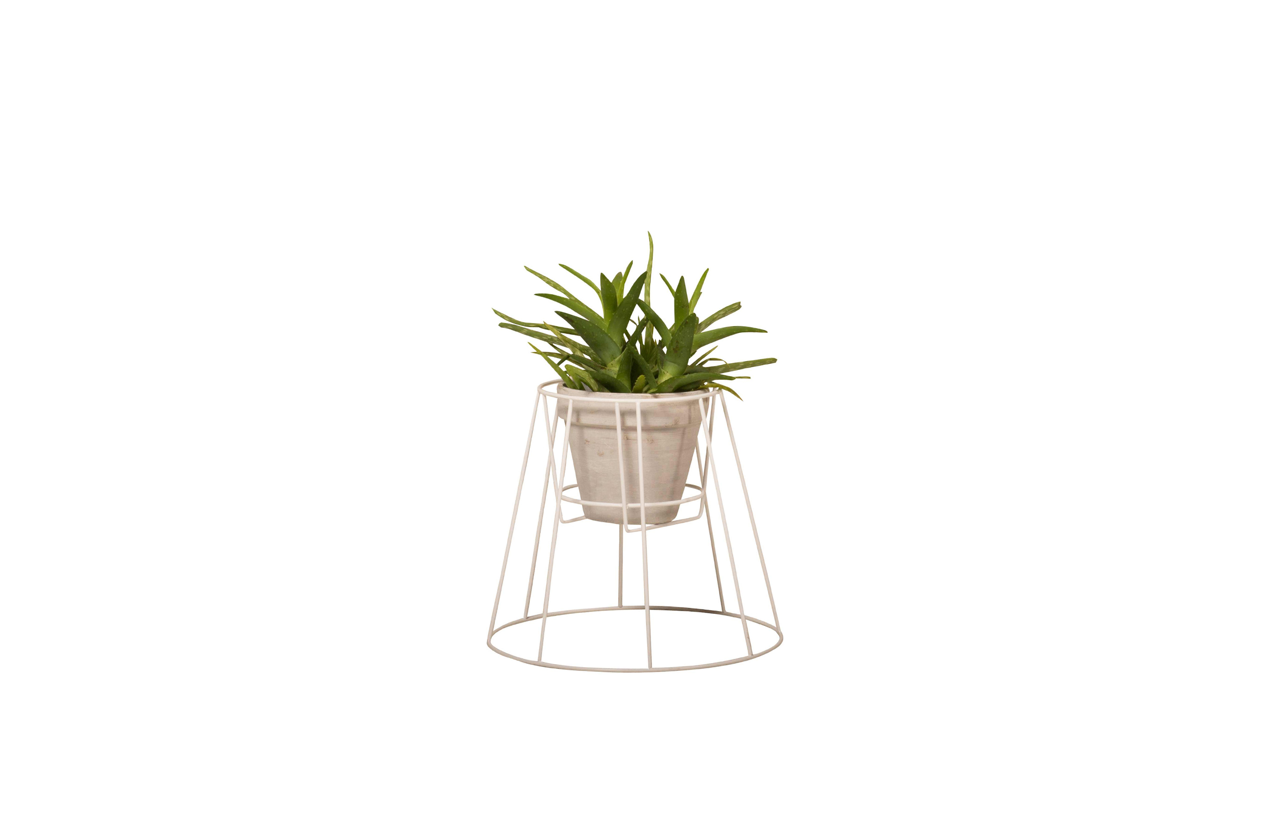 创意家具 - 附件|花器|办公家具|球友会手机网页版登录入口家具|西布莉植物架