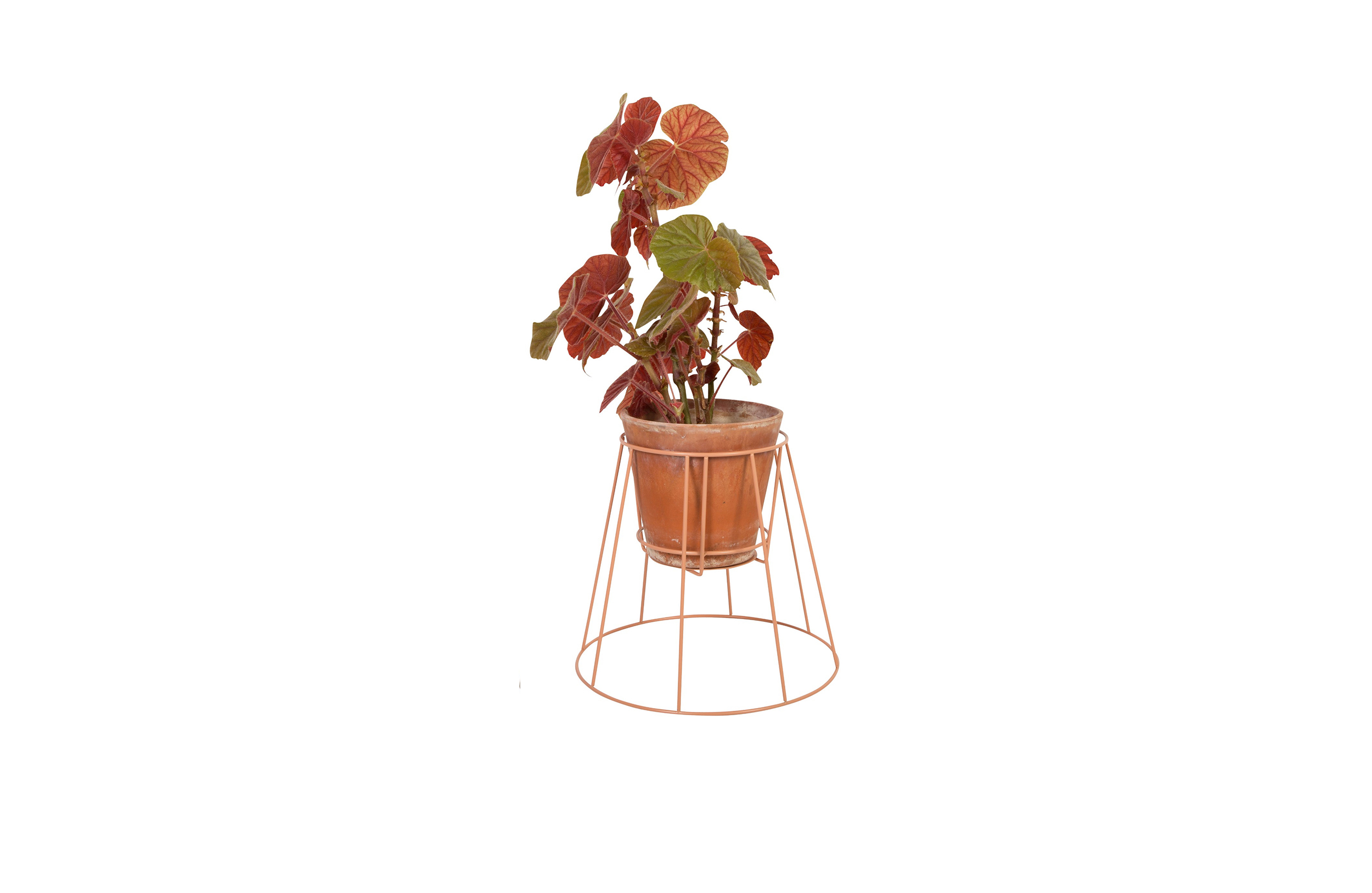 创意家具 - 附件|花器|办公家具|球友会手机网页版登录入口家具|西布莉植物架