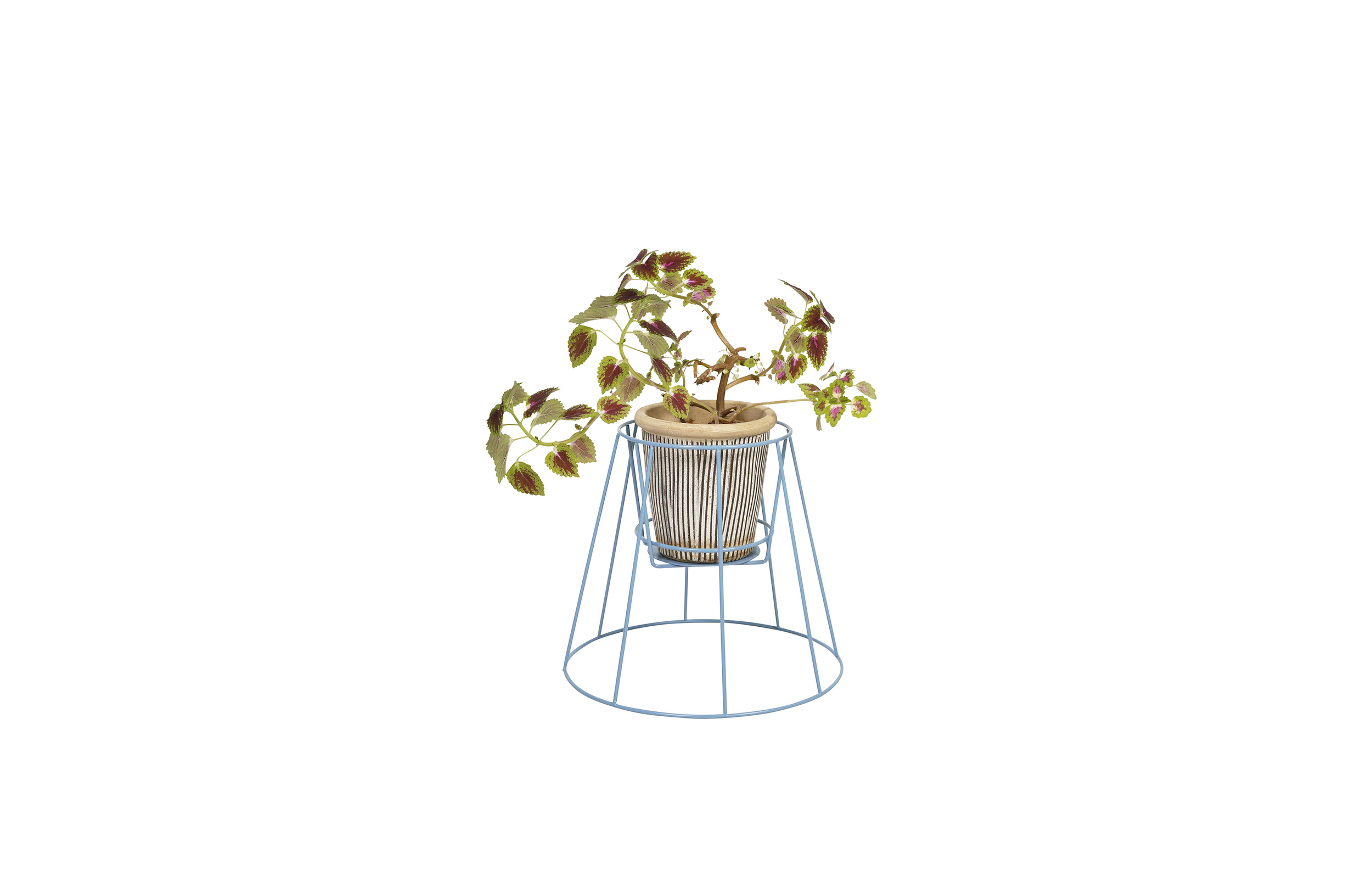 创意家具 - 附件|花器|办公家具|球友会手机网页版登录入口家具|西布莉植物架