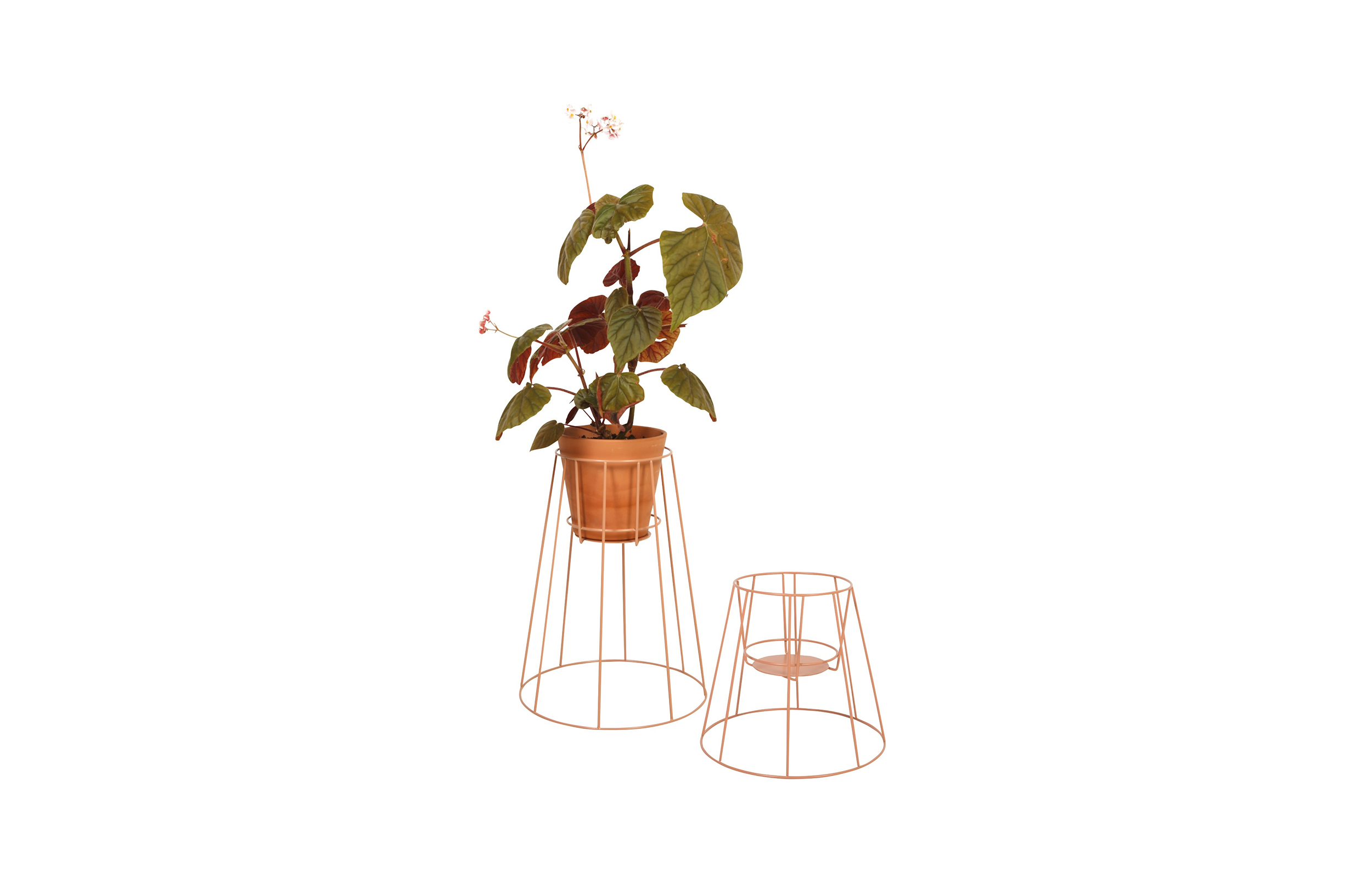 创意家具 - 附件|花器|办公家具|球友会手机网页版登录入口家具|西布莉植物架