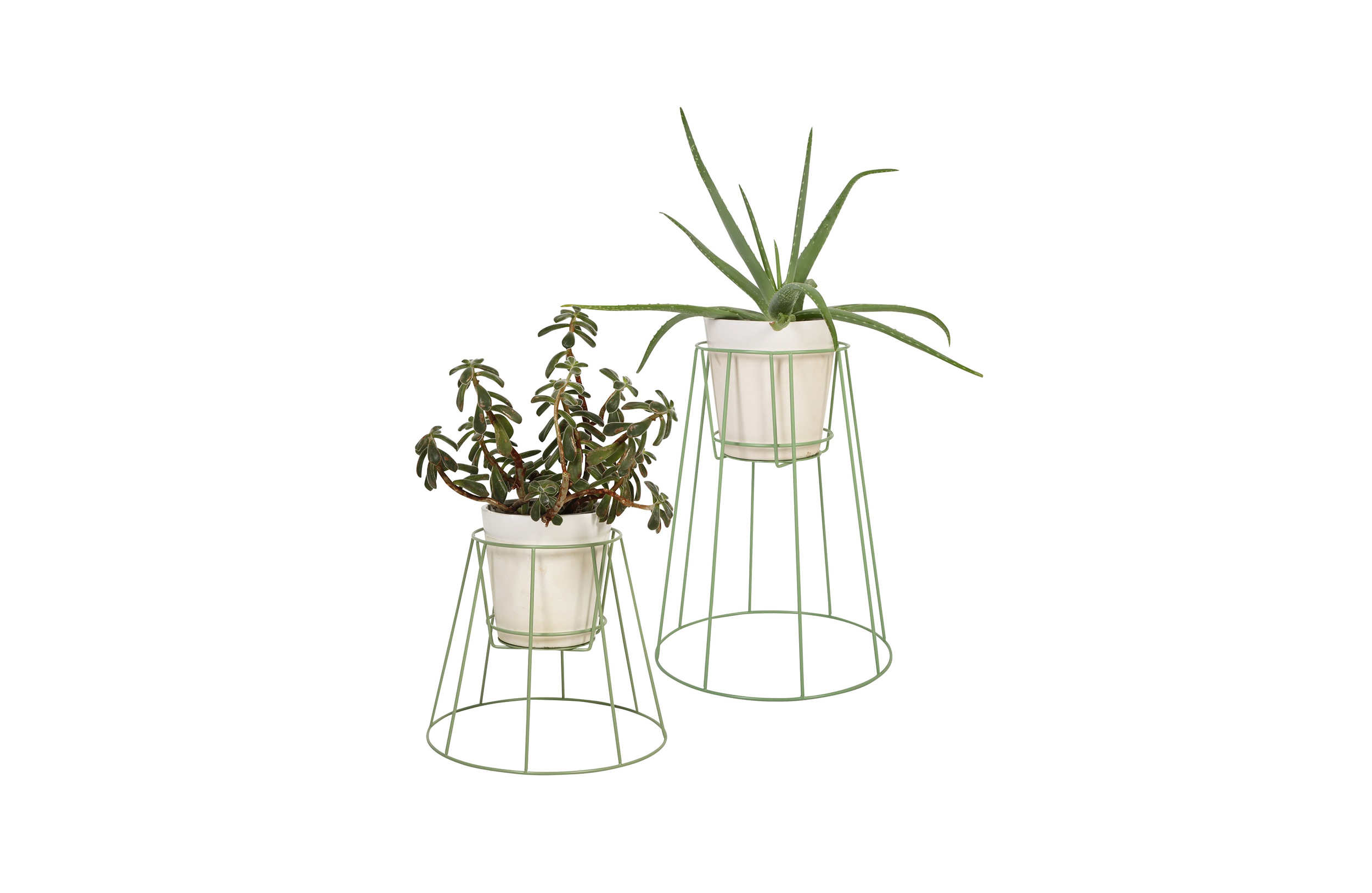 创意家具 - 附件|花器|办公家具|球友会手机网页版登录入口家具|西布莉植物架