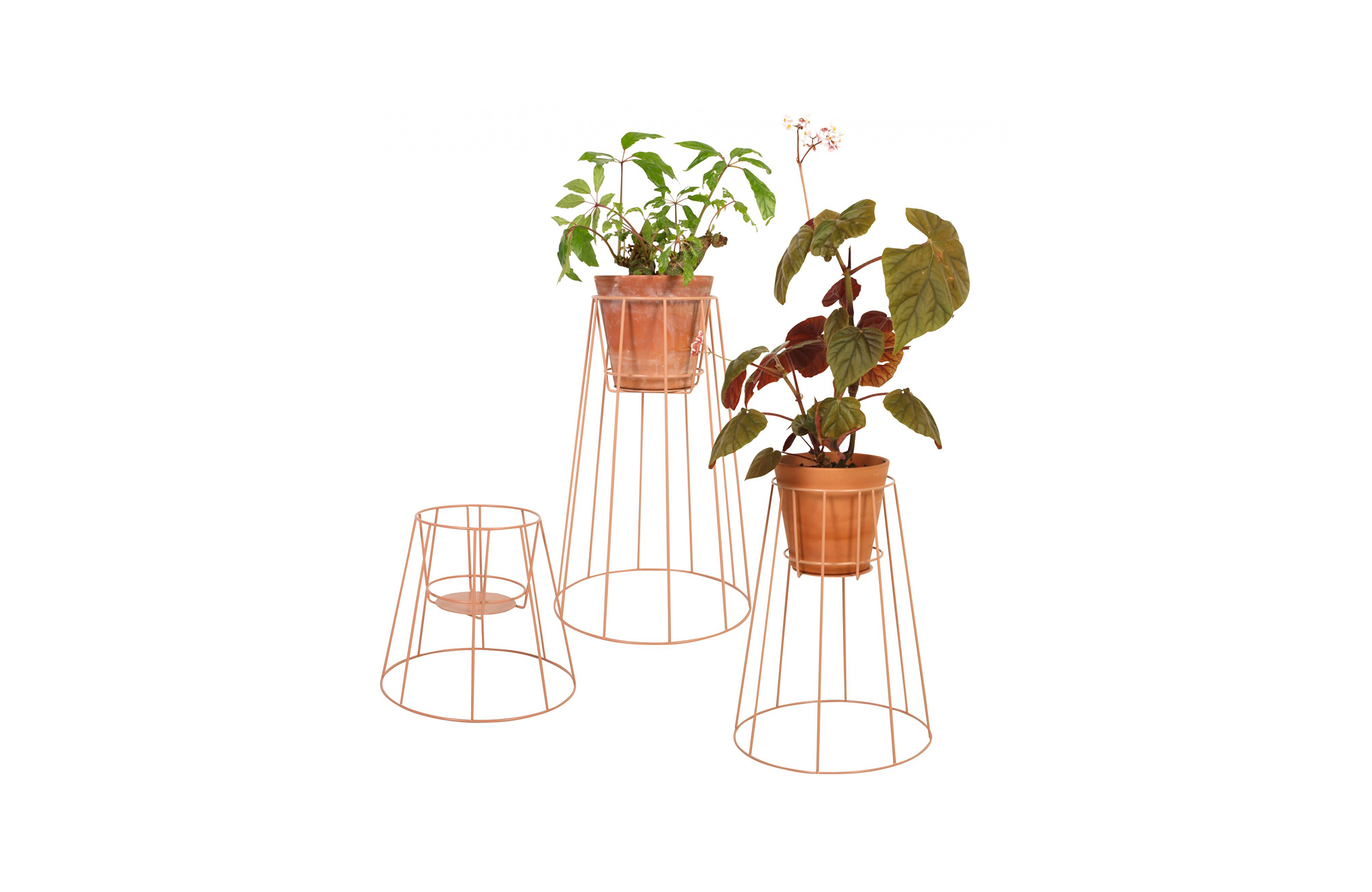 创意家具 - 附件|花器|办公家具|球友会手机网页版登录入口家具|西布莉植物架