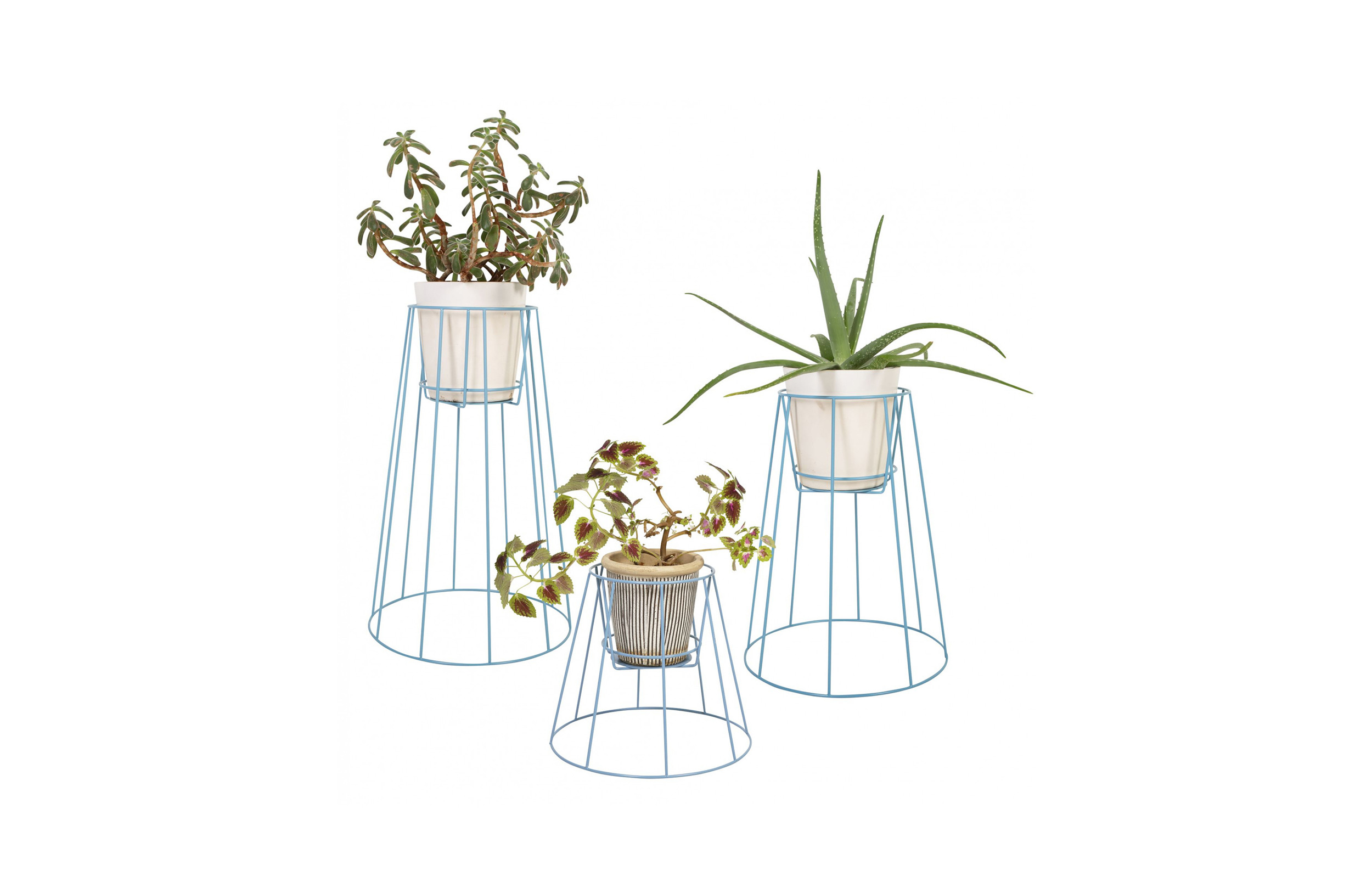 创意家具 - 附件|花器|办公家具|球友会手机网页版登录入口家具|西布莉植物架