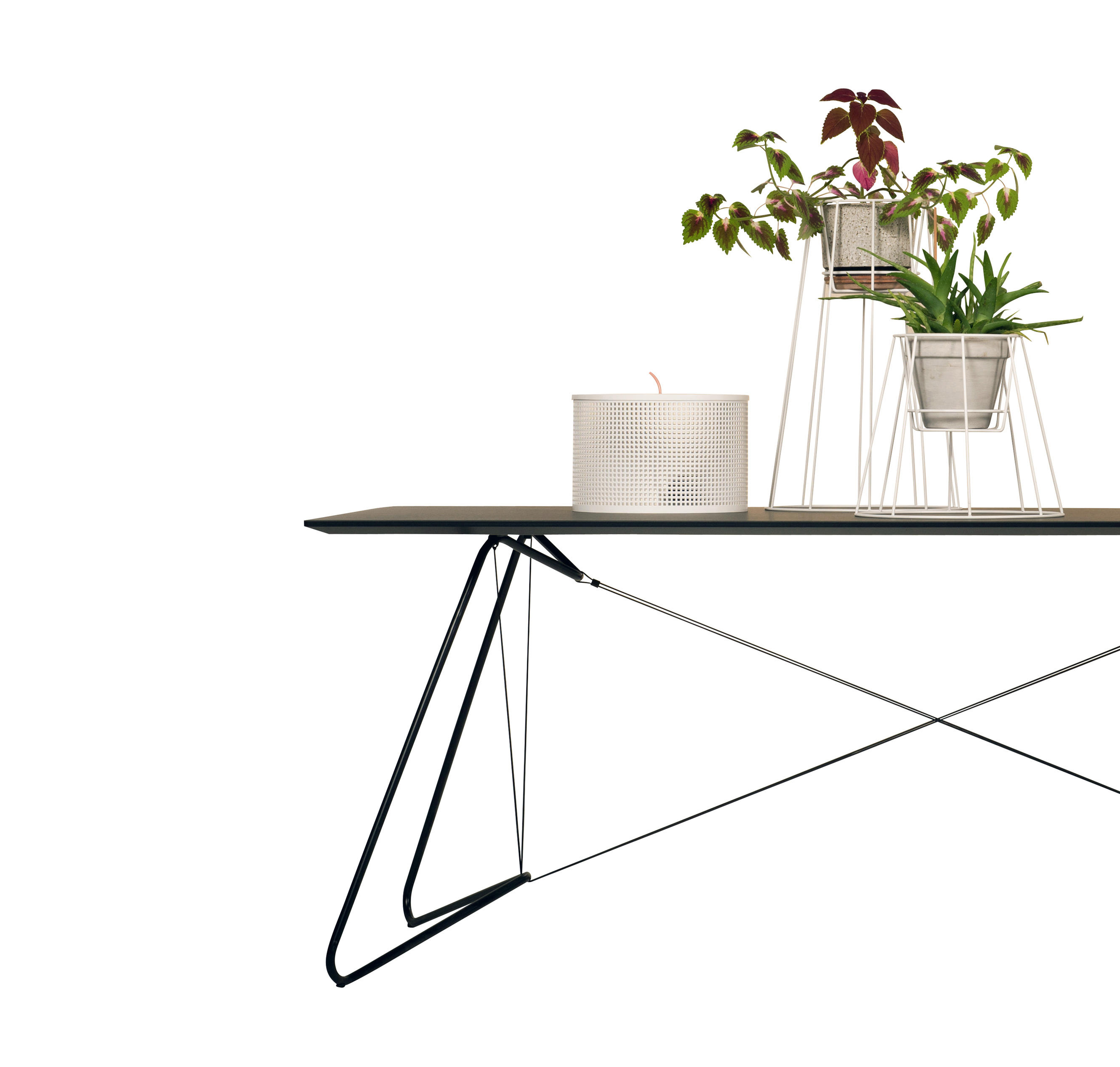 创意家具 - 附件|花器|办公家具|球友会手机网页版登录入口家具|西布莉植物架