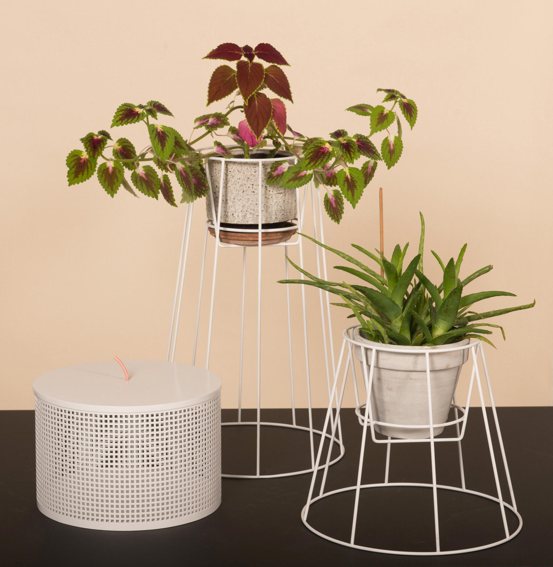 创意家具 - 附件|花器|办公家具|球友会手机网页版登录入口家具|西布莉植物架