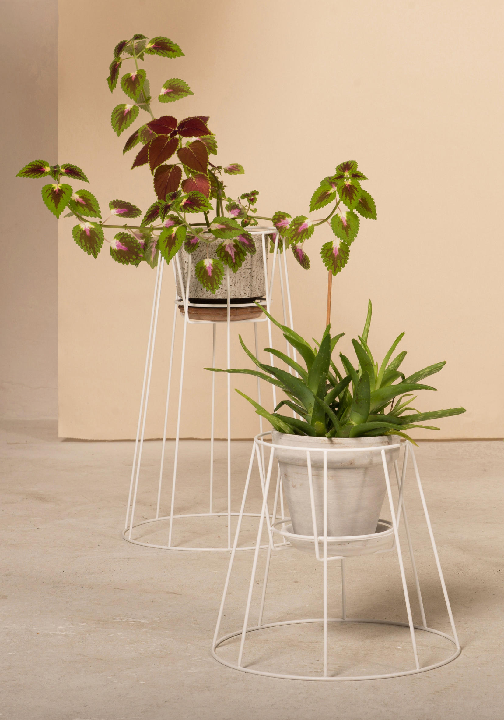 创意家具 - 附件|花器|办公家具|球友会手机网页版登录入口家具|西布莉植物架