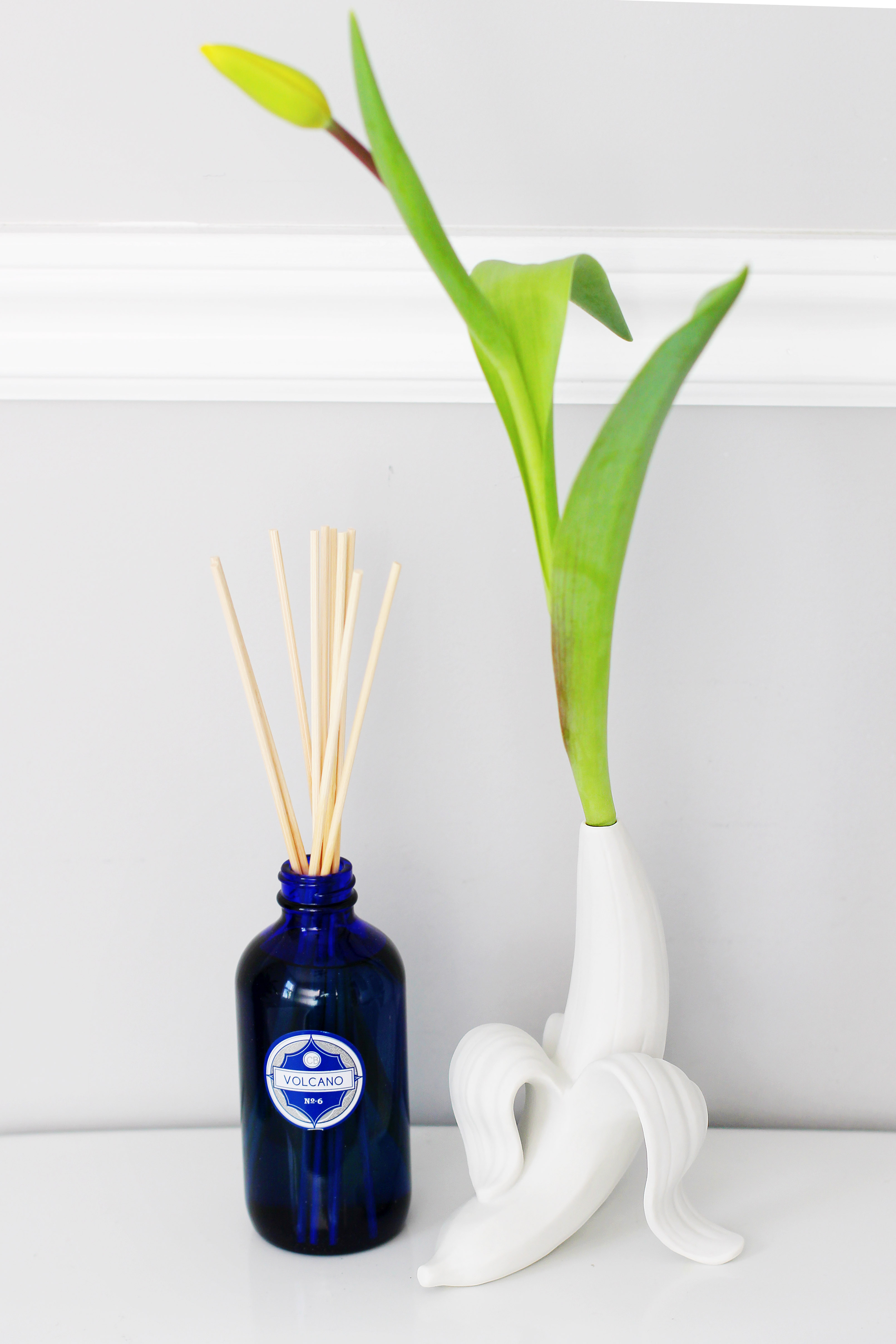 创意家具 - 附件|花器|办公家具|球友会手机网页版登录入口家具|香蕉芽花瓶