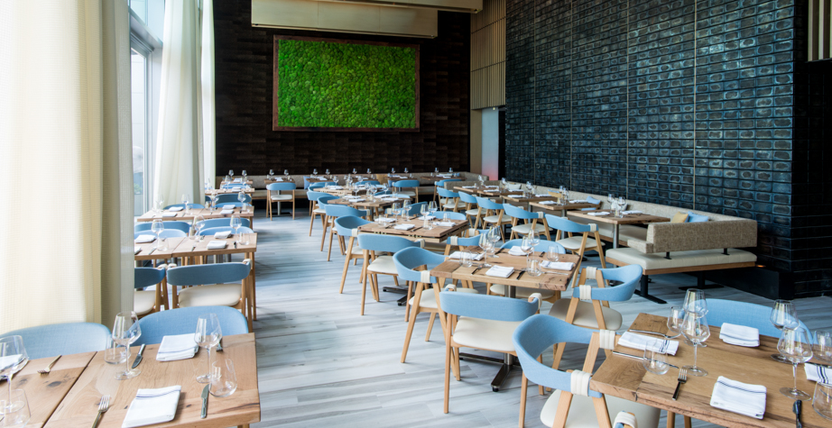 创意家具 - 坐具|餐椅|办公家具|球友会手机网页版登录入口家具|马蒂尔达餐椅