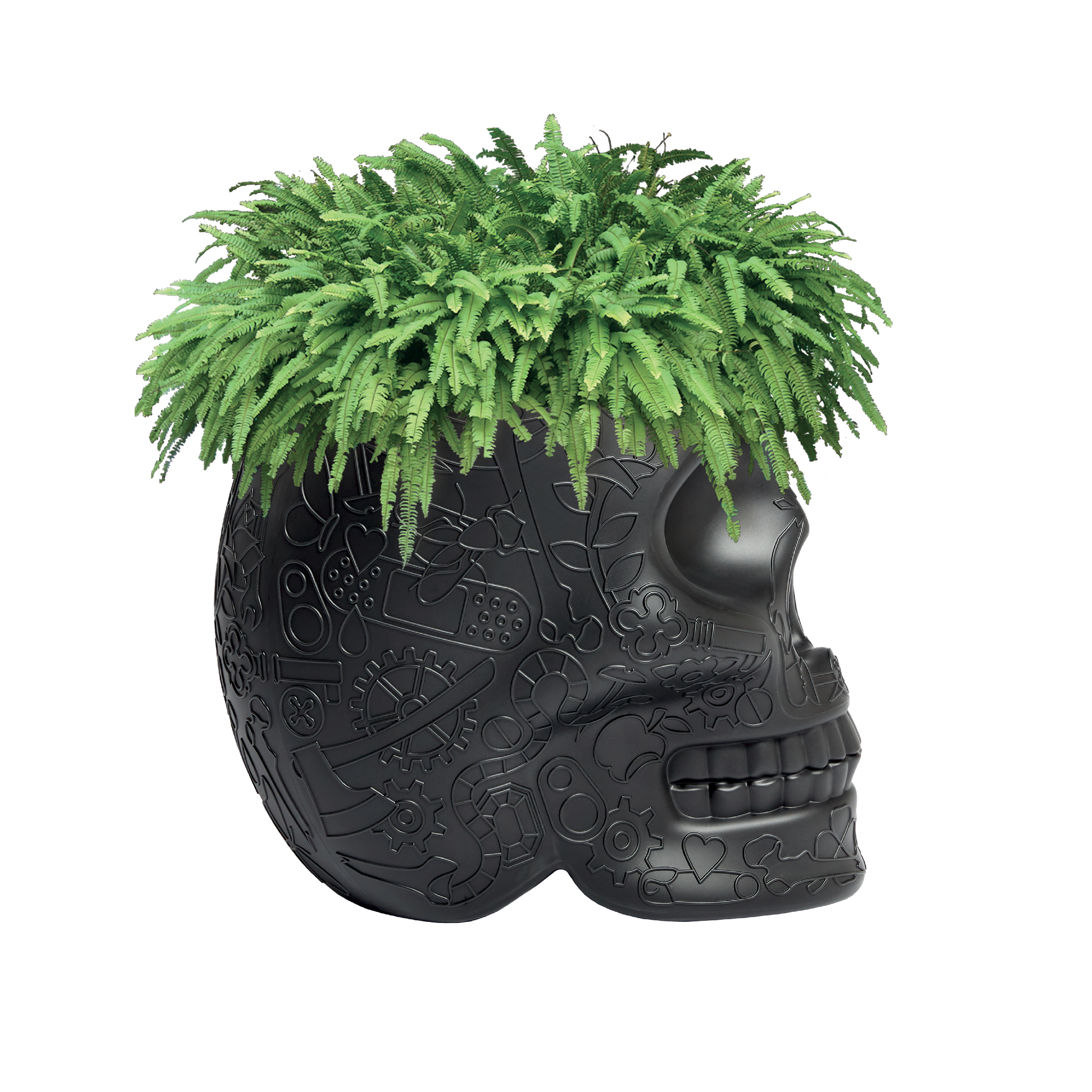 创意家具 - 附件|花器|办公家具|球友会手机网页版登录入口家具|墨西哥花盆