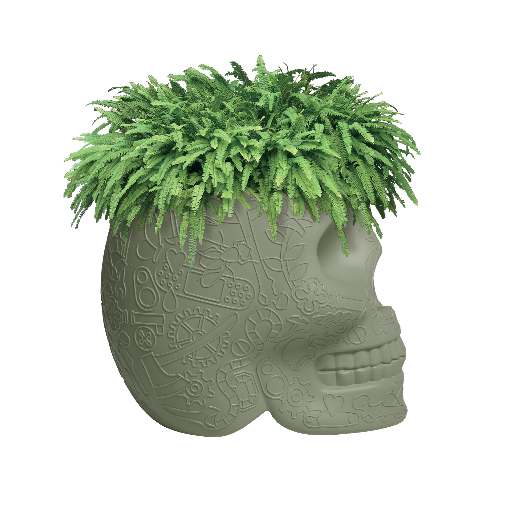 创意家具 - 附件|花器|办公家具|球友会手机网页版登录入口家具|墨西哥花盆