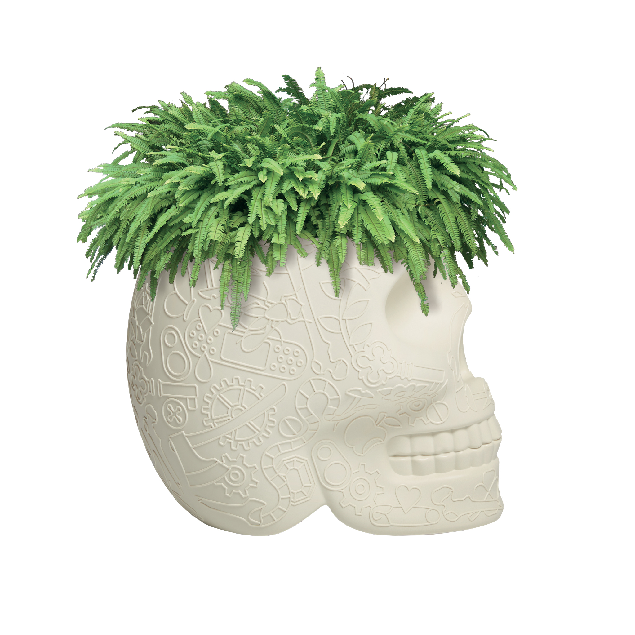 创意家具 - 附件|花器|办公家具|球友会手机网页版登录入口家具|墨西哥花盆