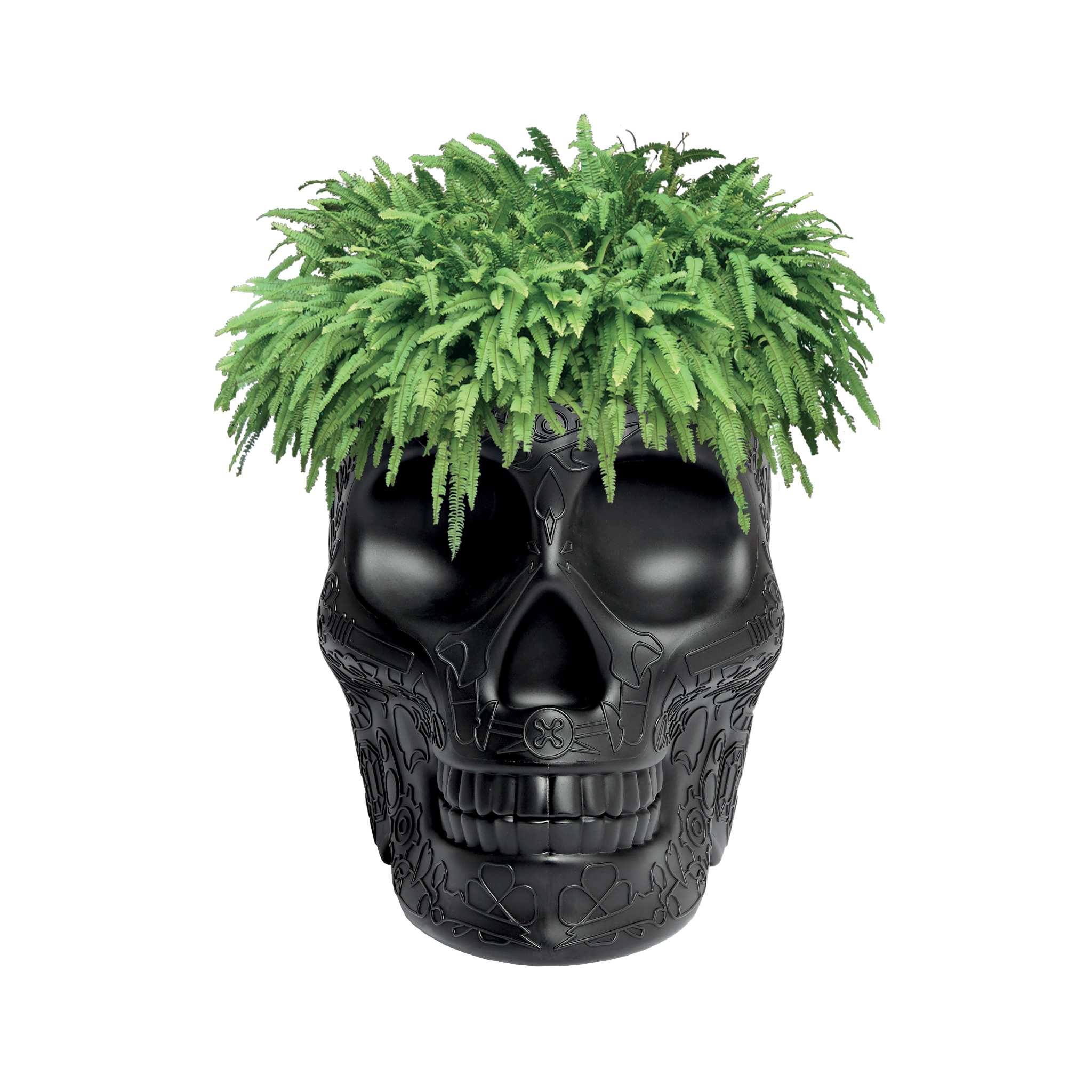创意家具 - 附件|花器|办公家具|球友会手机网页版登录入口家具|墨西哥花盆