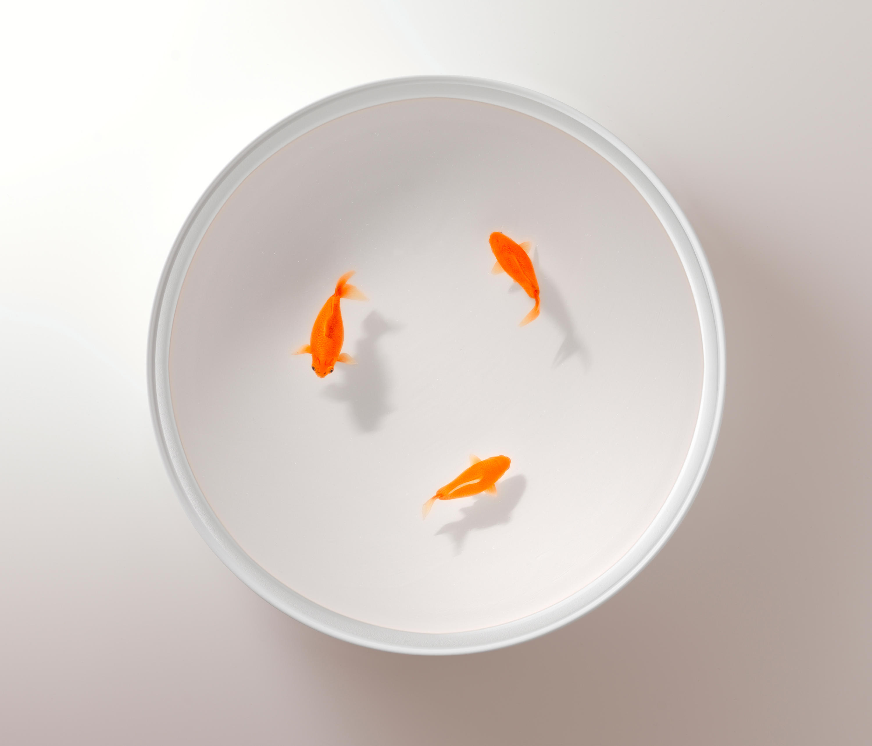 创意家具 - 桌几|茶几/边几|办公家具|球友会手机网页版登录入口家具|Up in the Air 茶几/角几