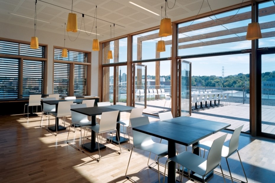 创意家具 - 坐具|餐椅|办公家具|球友会手机网页版登录入口家具|STING 餐椅/洽谈椅