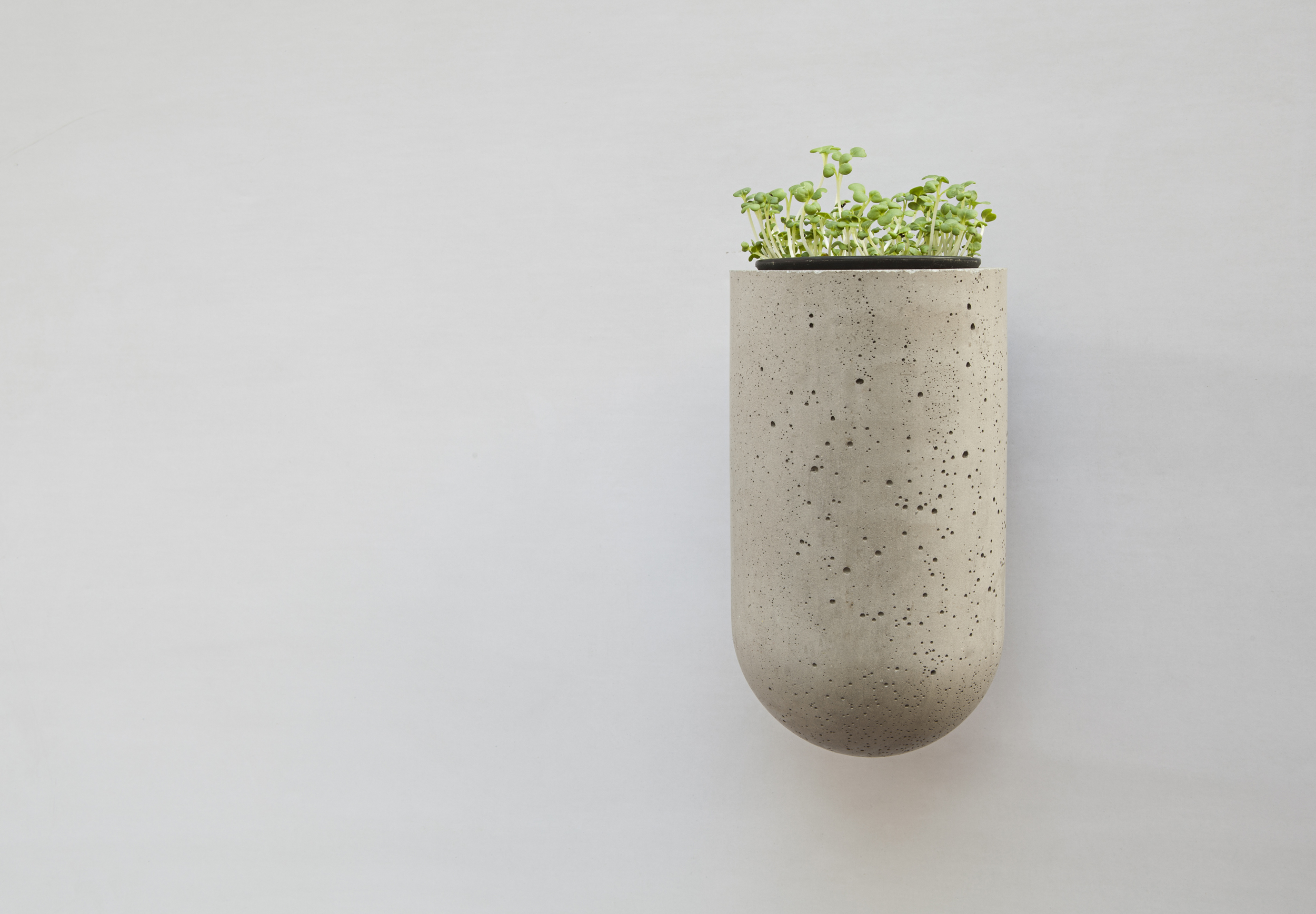 创意家具 - 附件|花器|办公家具|球友会手机网页版登录入口家具|挂墙式花钵-杯