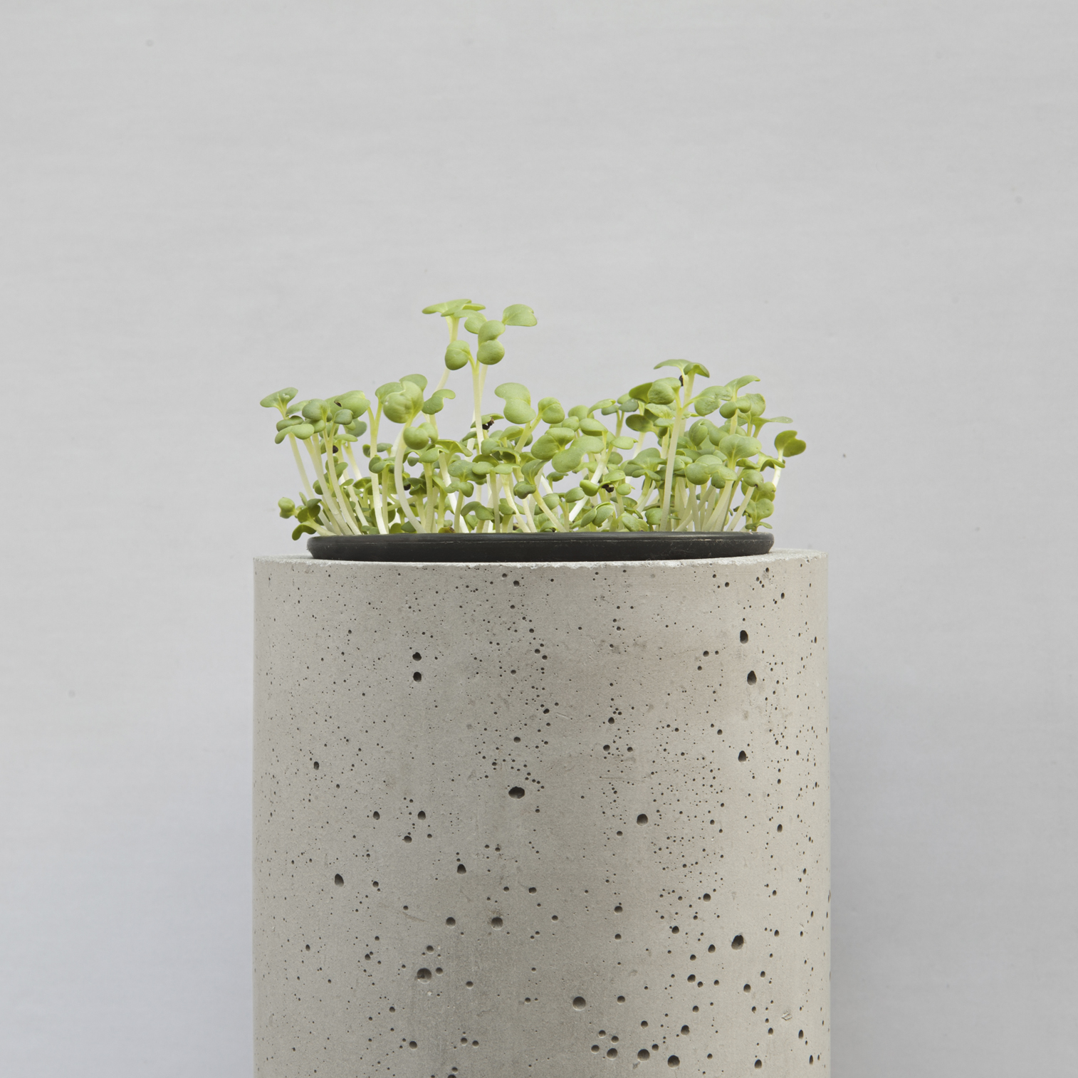 创意家具 - 附件|花器|办公家具|球友会手机网页版登录入口家具|挂墙式花钵-杯