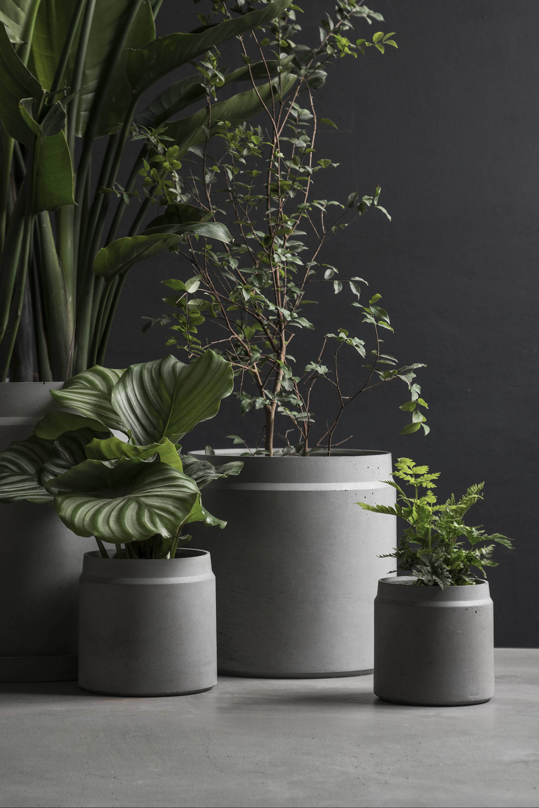 创意家具 - 附件|花器|办公家具|球友会手机网页版登录入口家具|花钵-圆