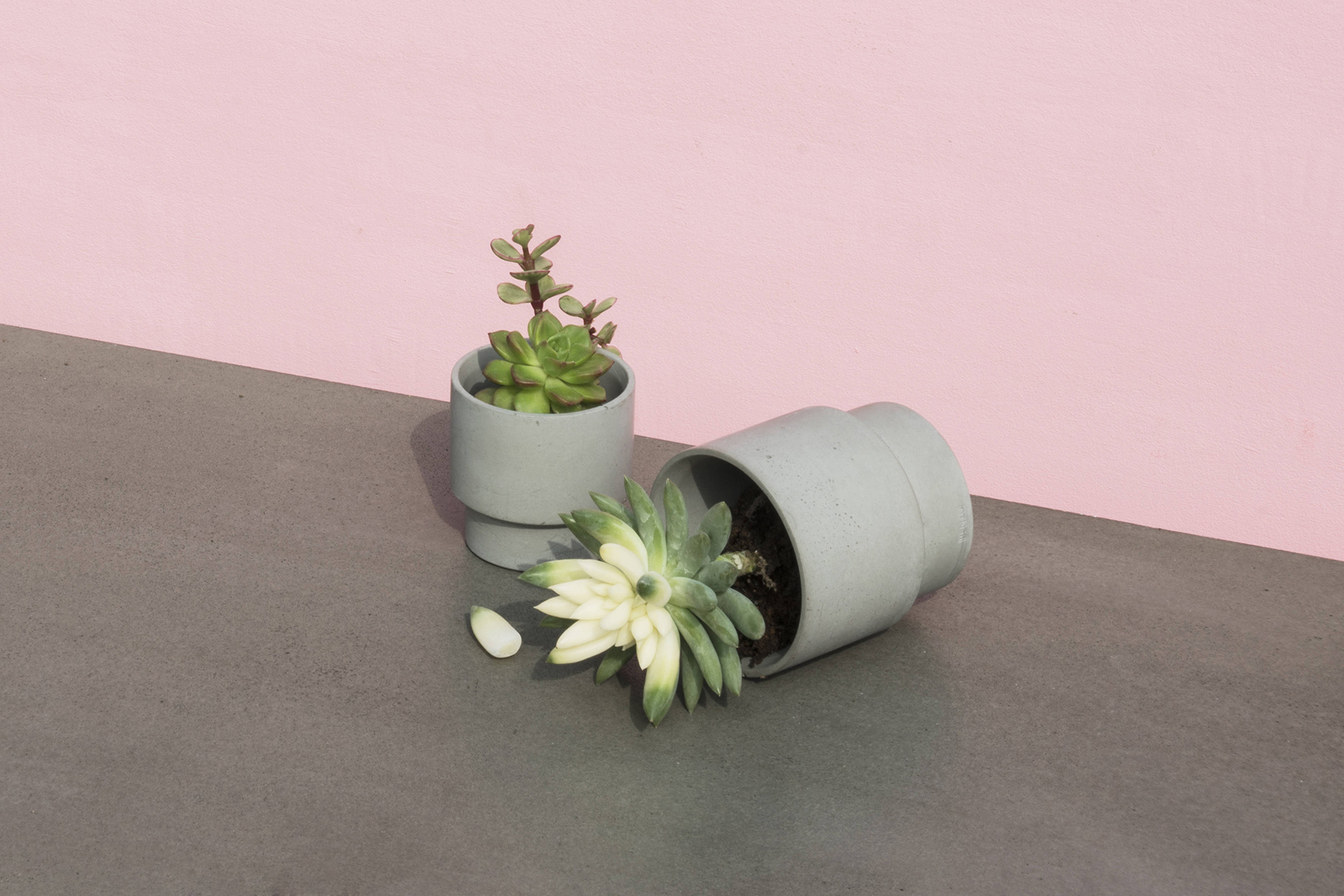 创意家具 - 附件|花器|办公家具|球友会手机网页版登录入口家具|花钵/蜡烛台-息