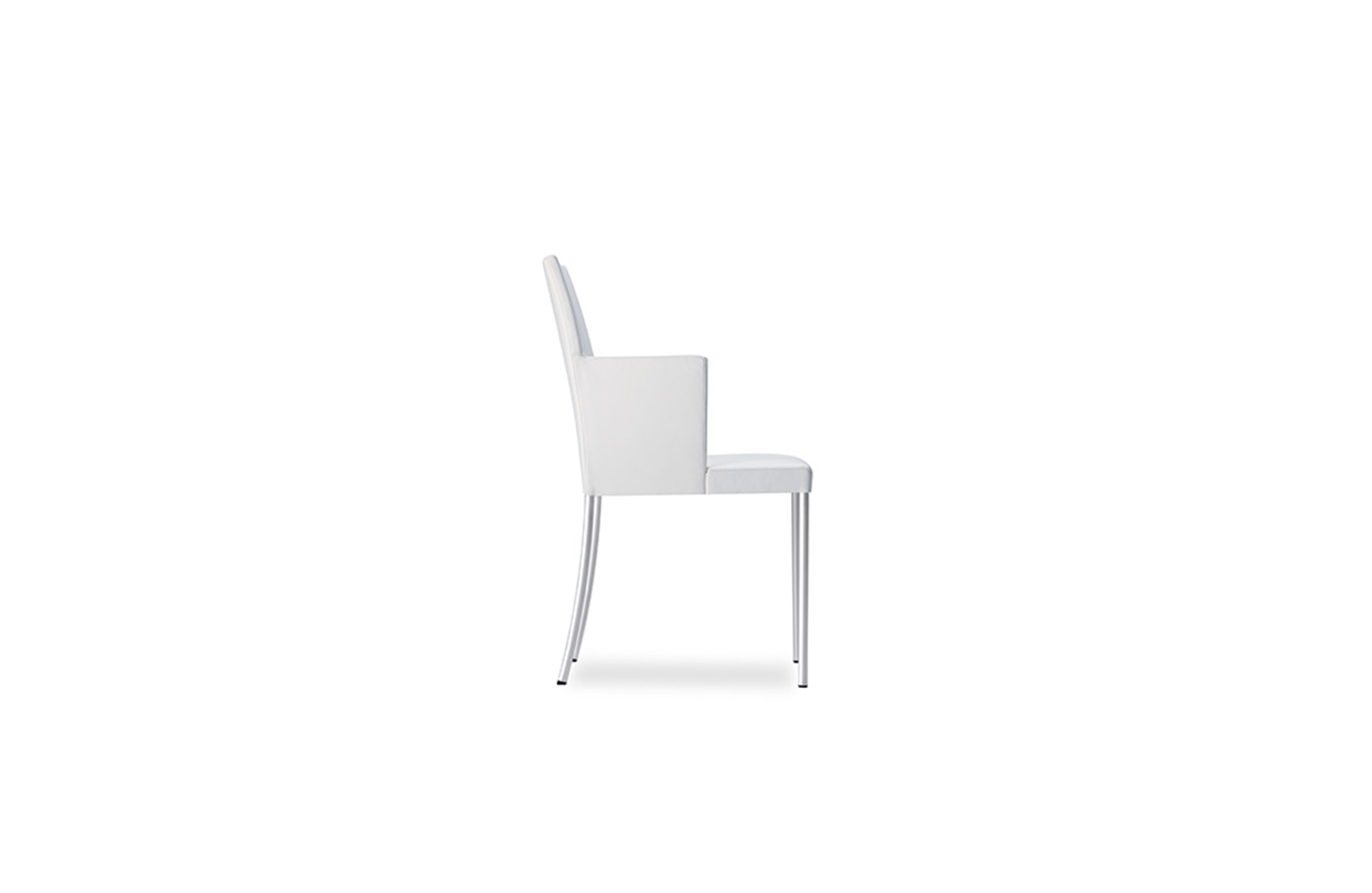 创意家具 - 坐具|餐椅|办公家具|球友会手机网页版登录入口家具|JASON LITE餐椅