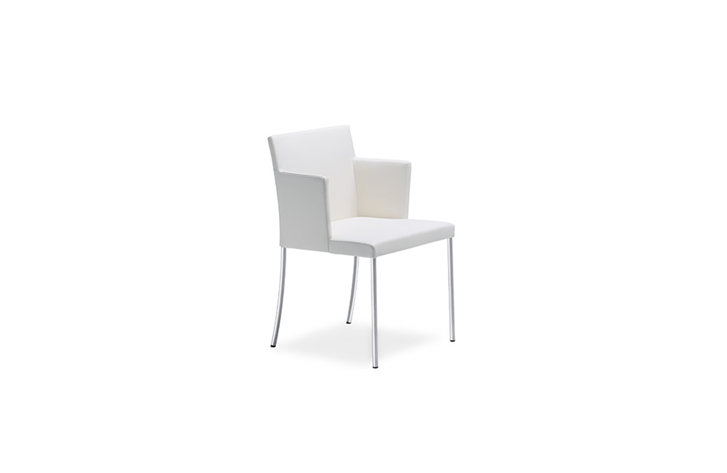 创意家具 - 坐具|餐椅|办公家具|球友会手机网页版登录入口家具|JASON LITE餐椅